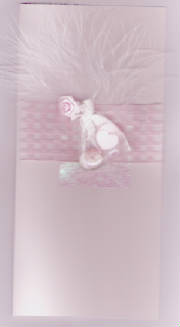 "Organza Surprise!"