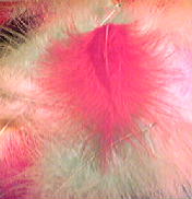 "Fluffy Feathers!"